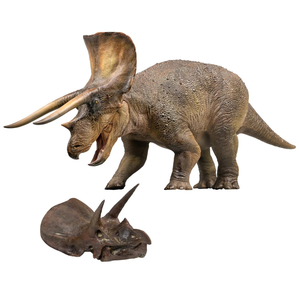 Dinosaur Museums Series:New Doyle the Triceratops 1:35 Scientific Art Model