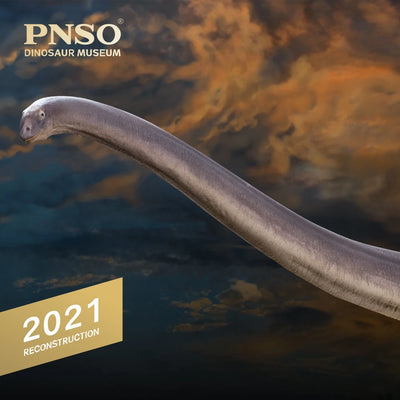 Dinosaur Museums Series New ER-MA the Mamenchisaurus 1:45 Scientific Art Models