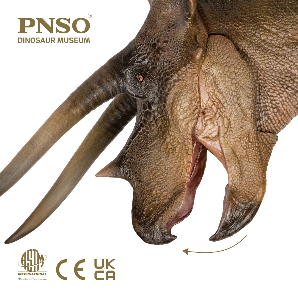 Dinosaur Museums Series:New Doyle the Triceratops 1:35 Scientific Art Model