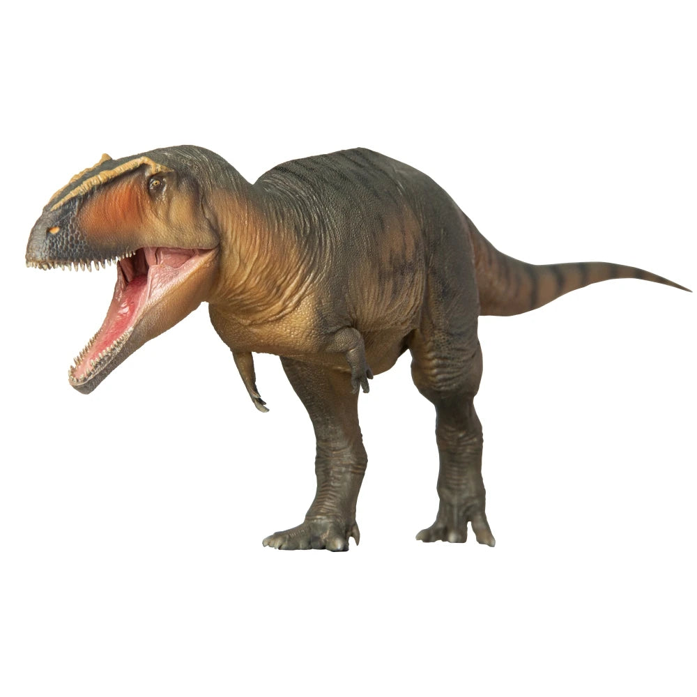 Dinosaur Museums Series:17Lucas the Giganotosaurus 1:35 Scietific Art Model