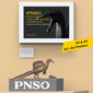 Dinosaur Museums Series:19Aymen the Spinosaurus 1:35 Scientific Art Model