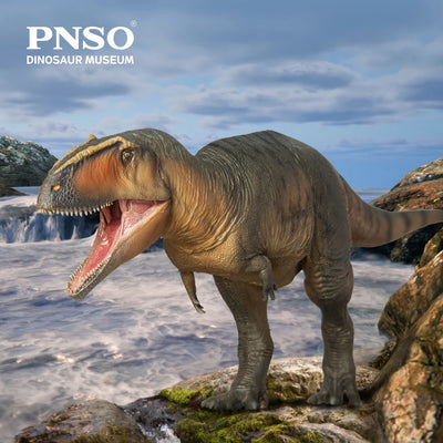 Dinosaur Museums Series:17Lucas the Giganotosaurus 1:35 Scietific Art Model