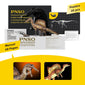 Dinosaur Museums Series:19Aymen the Spinosaurus 1:35 Scientific Art Model